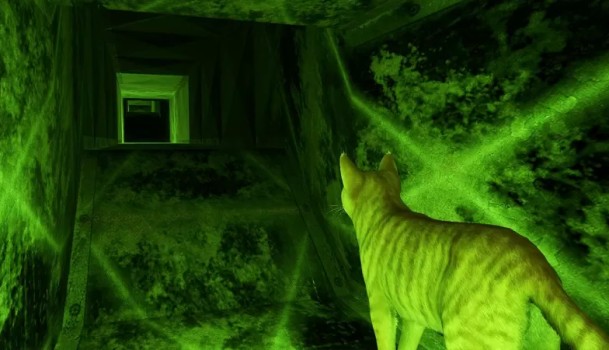 [NSZ] [小猫大营救2].Little Strays 2 美版中文+1.1.0补丁+1DLC